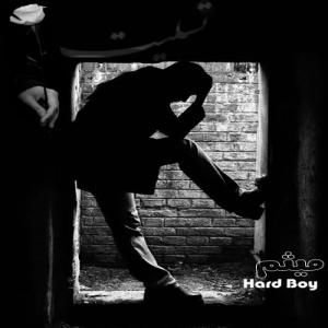   میثم هارد بوی