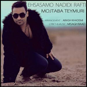   مجتبی تیموری