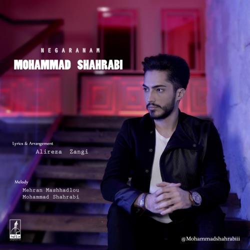   محمد شهرابی