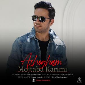   مجتبی کریمی