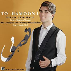   میلاد ابوالهادی