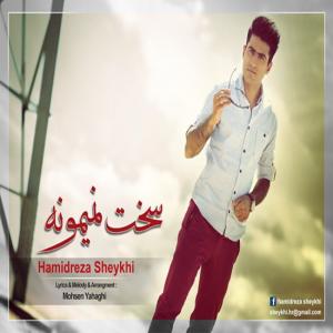   حمیدرضا شیخی