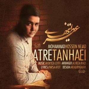   محمد حسین نژاد