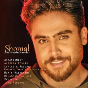   امیرحسین نامدار