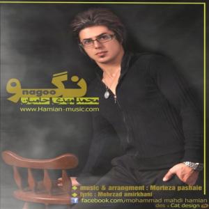   محمد مهدی حامین