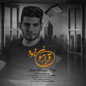   امیرحسین ناجی