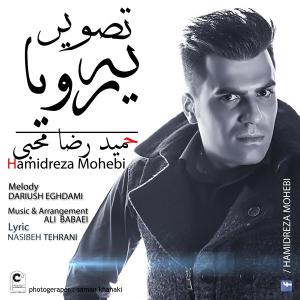   حمیدرضا محبی