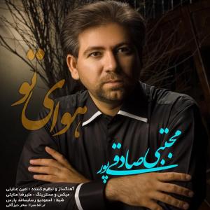   مجتبی صادقی پور