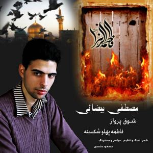   مصطفی بیضایی