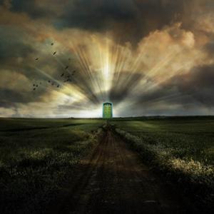   علیرضا احمدی