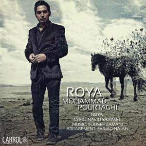   محمد پور تقی