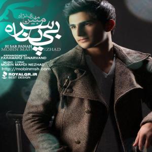   مبین مهدی نژاد