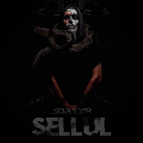   هادی سناتور