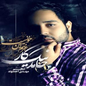   حامد نیک کار