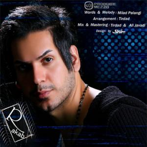   میلاد پلنگی