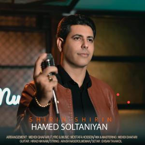   حامد سلطانیان