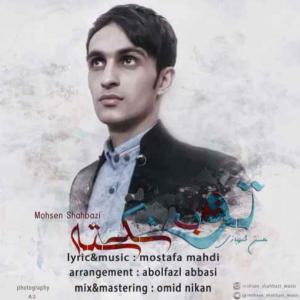   محسن شهبازی