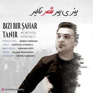   مرتضی آیرملو