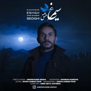   امیر قاسم صدقی