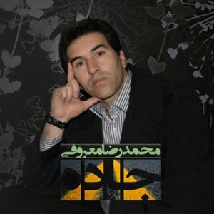   محمدرضا معروفی