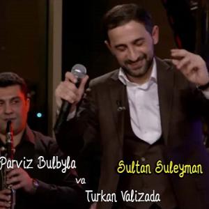   پرویز بلبل و تورکان ولیزاده