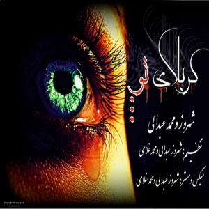   شهروز عبدالی