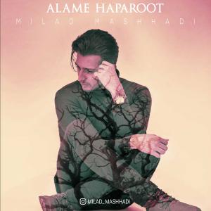   میلاد مشهدی