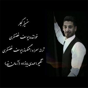   یوسف غضنفری