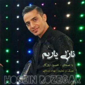   حسین روزگار