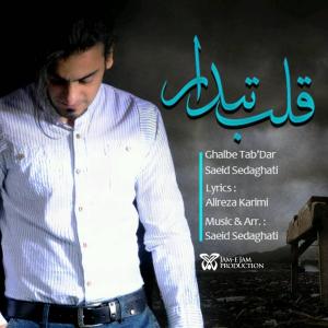   ابوالفضل فلاح و سعید صداقتی