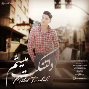   میلاد توکلی