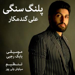   علی گندم کار