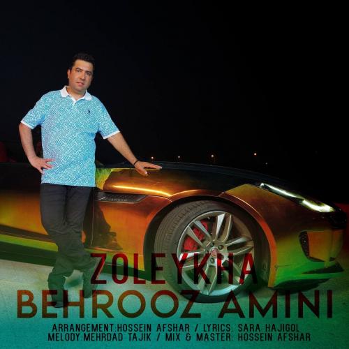   بهروز امینی