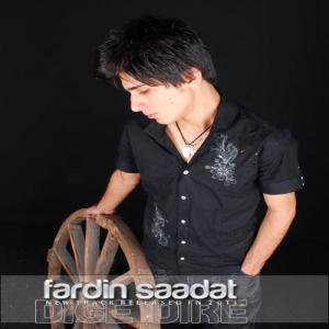   فردین سعادت