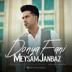   میثم جانباز