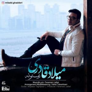   میلاد قادری