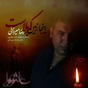   رضا میرزایی