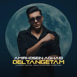   امیرحسین آقایی