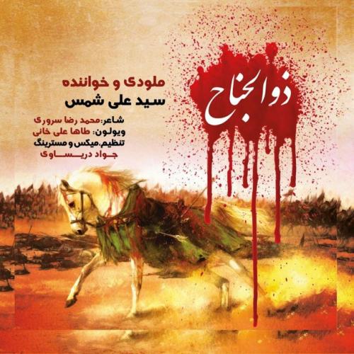   سید علی شمس