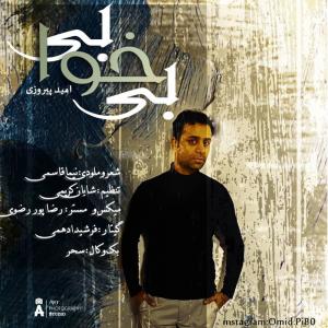   اميد پيروزي