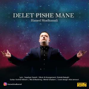   حامد شادکمالی