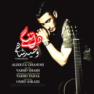   وحید پارسا و وحید شاهی