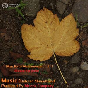   علیرضا پروین فر