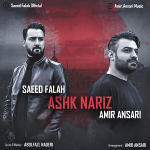   امیر انصاری و سعید فلاح