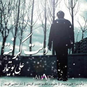   عای بوتیمار