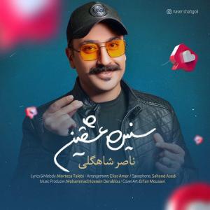   ناصر شاهگلی