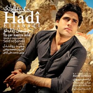   هادی علی آبادی