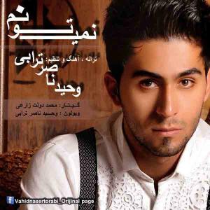   وحید ناصر ترابی