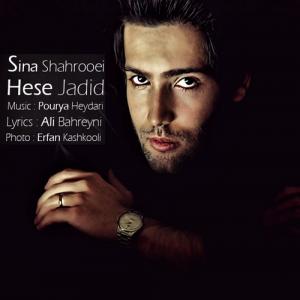   سینا شاهرویی