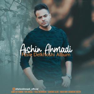   افشین احمدی